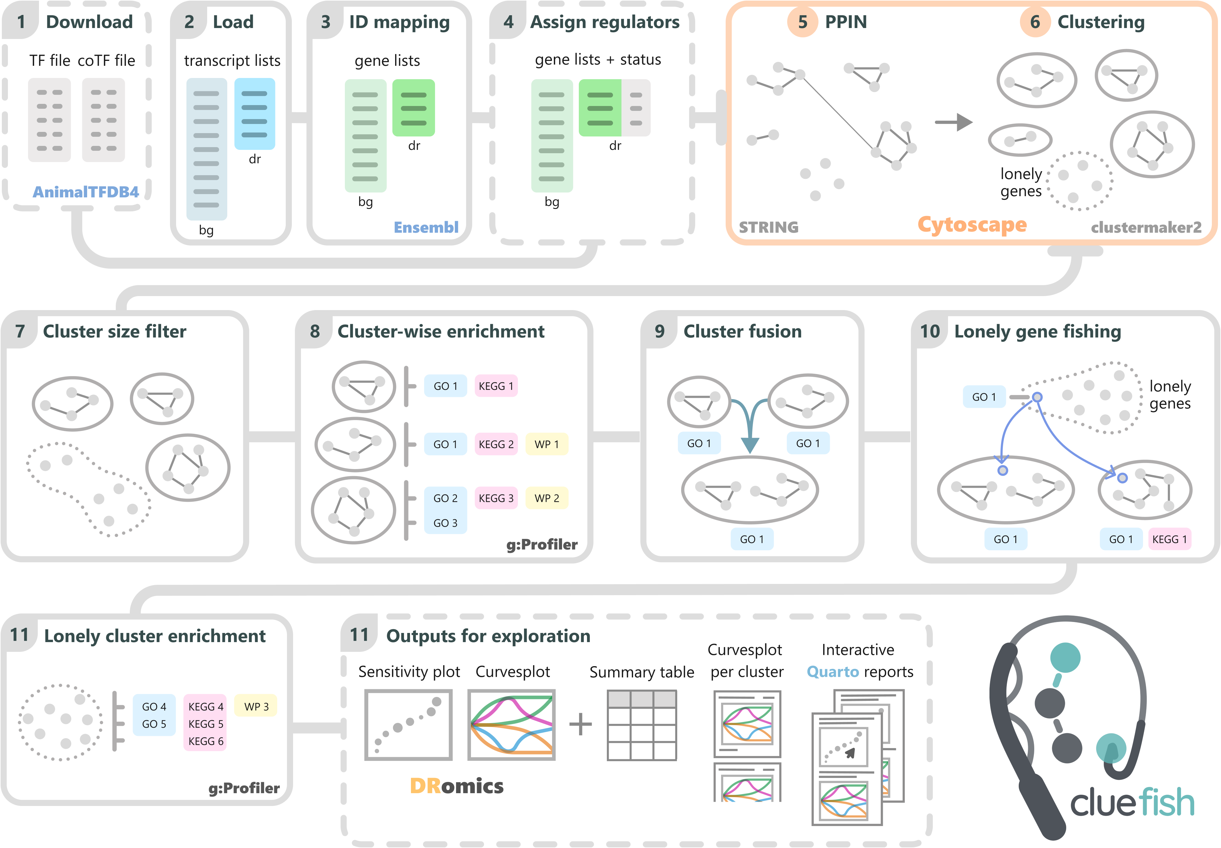 Cluefish schematic