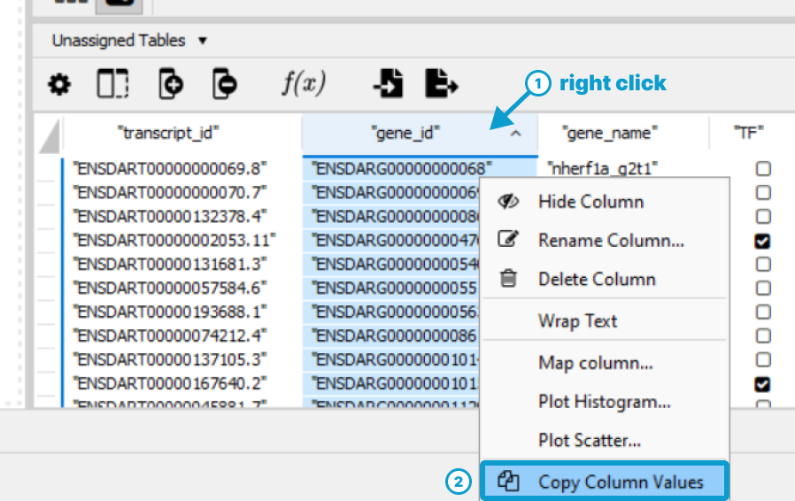 Copy gene id column values